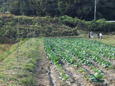 2017_10_hikari_fence.JPG