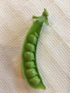 2018_5_11_peas.jpg