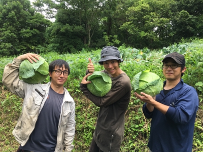 2018_8_cabbage.JPG